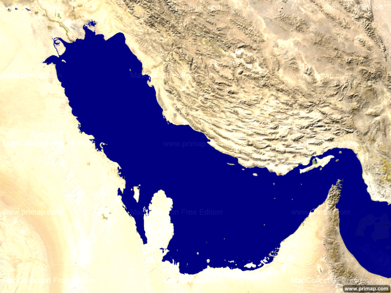 How To Read A Car Insurance Policy